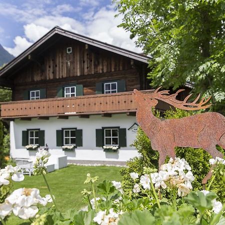 Forest Chalet, 15 Min To Salzburg Olt Town, And Most Beautiful Lakes, Secluded Location, 1,000 Sqm Garden, Mountainview, Panorama Sauna, Bath Whirlpool, Bbq&Bikes&Sunbeds For Free, Up To 10 P โกลลิง อันแดร์ ซัลซาค ภายนอก รูปภาพ