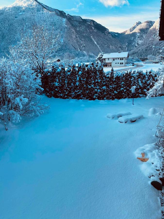 Forest Chalet, 15 Min To Salzburg Olt Town, And Most Beautiful Lakes, Secluded Location, 1,000 Sqm Garden, Mountainview, Panorama Sauna, Bath Whirlpool, Bbq&Bikes&Sunbeds For Free, Up To 10 P โกลลิง อันแดร์ ซัลซาค ภายนอก รูปภาพ