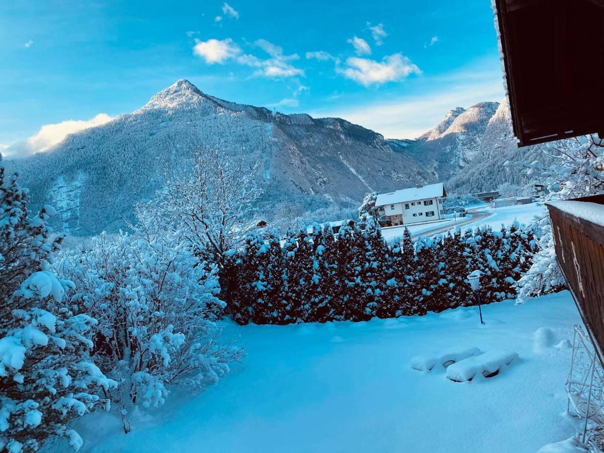 Forest Chalet, 15 Min To Salzburg Olt Town, And Most Beautiful Lakes, Secluded Location, 1,000 Sqm Garden, Mountainview, Panorama Sauna, Bath Whirlpool, Bbq&Bikes&Sunbeds For Free, Up To 10 P โกลลิง อันแดร์ ซัลซาค ภายนอก รูปภาพ