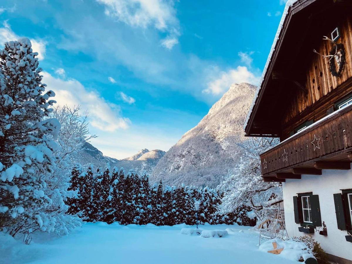 Forest Chalet, 15 Min To Salzburg Olt Town, And Most Beautiful Lakes, Secluded Location, 1,000 Sqm Garden, Mountainview, Panorama Sauna, Bath Whirlpool, Bbq&Bikes&Sunbeds For Free, Up To 10 P โกลลิง อันแดร์ ซัลซาค ภายนอก รูปภาพ