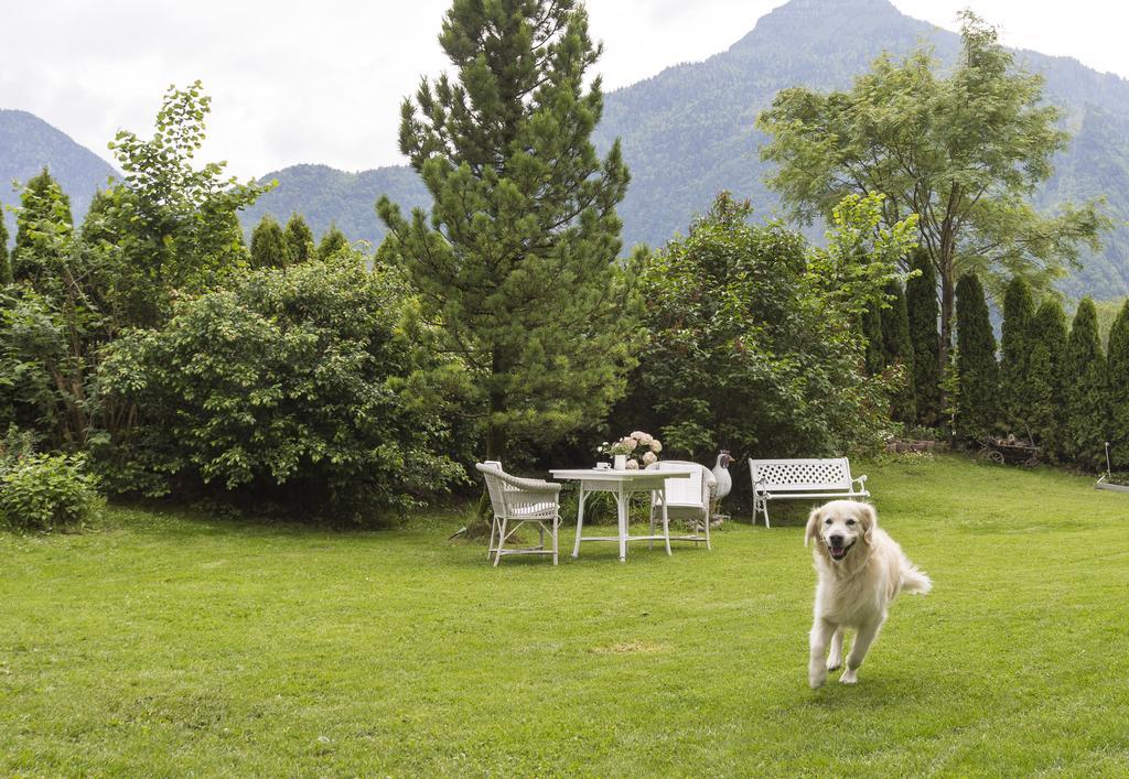 Forest Chalet, 15 Min To Salzburg Olt Town, And Most Beautiful Lakes, Secluded Location, 1,000 Sqm Garden, Mountainview, Panorama Sauna, Bath Whirlpool, Bbq&Bikes&Sunbeds For Free, Up To 10 P โกลลิง อันแดร์ ซัลซาค ภายนอก รูปภาพ