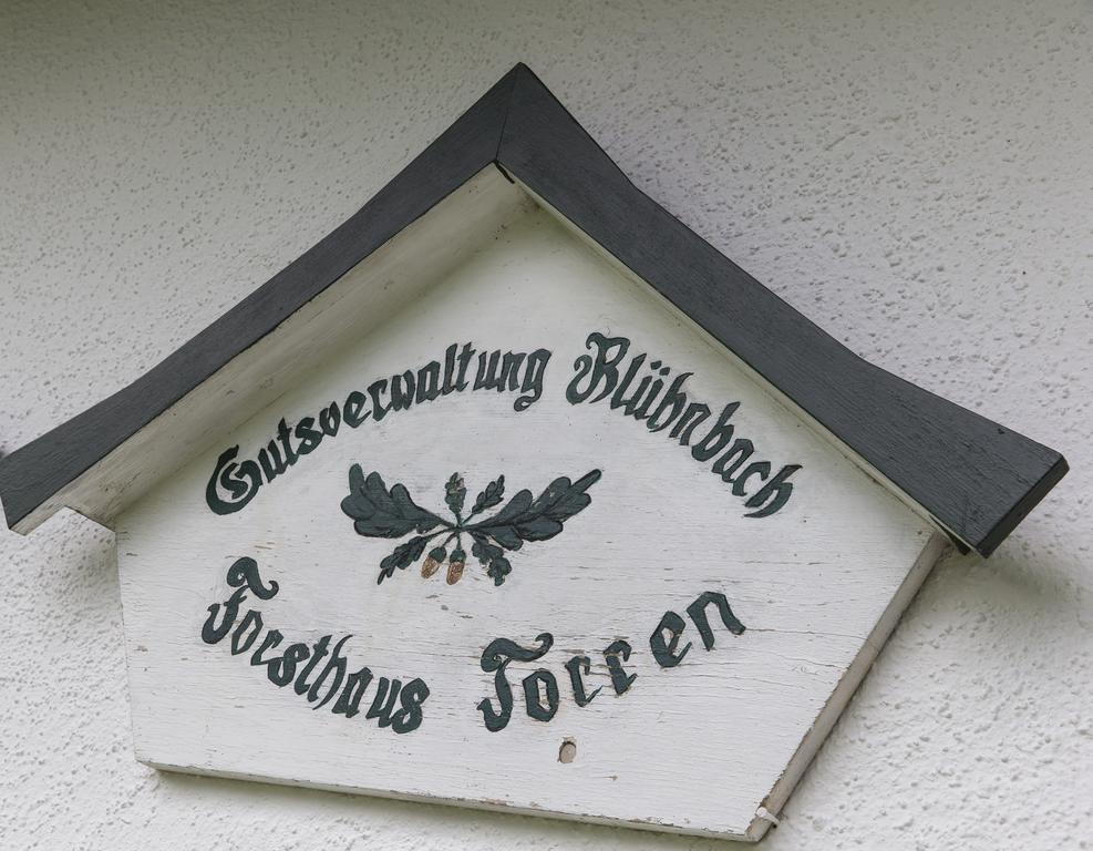 Forest Chalet, 15 Min To Salzburg Olt Town, And Most Beautiful Lakes, Secluded Location, 1,000 Sqm Garden, Mountainview, Panorama Sauna, Bath Whirlpool, Bbq&Bikes&Sunbeds For Free, Up To 10 P โกลลิง อันแดร์ ซัลซาค ภายนอก รูปภาพ