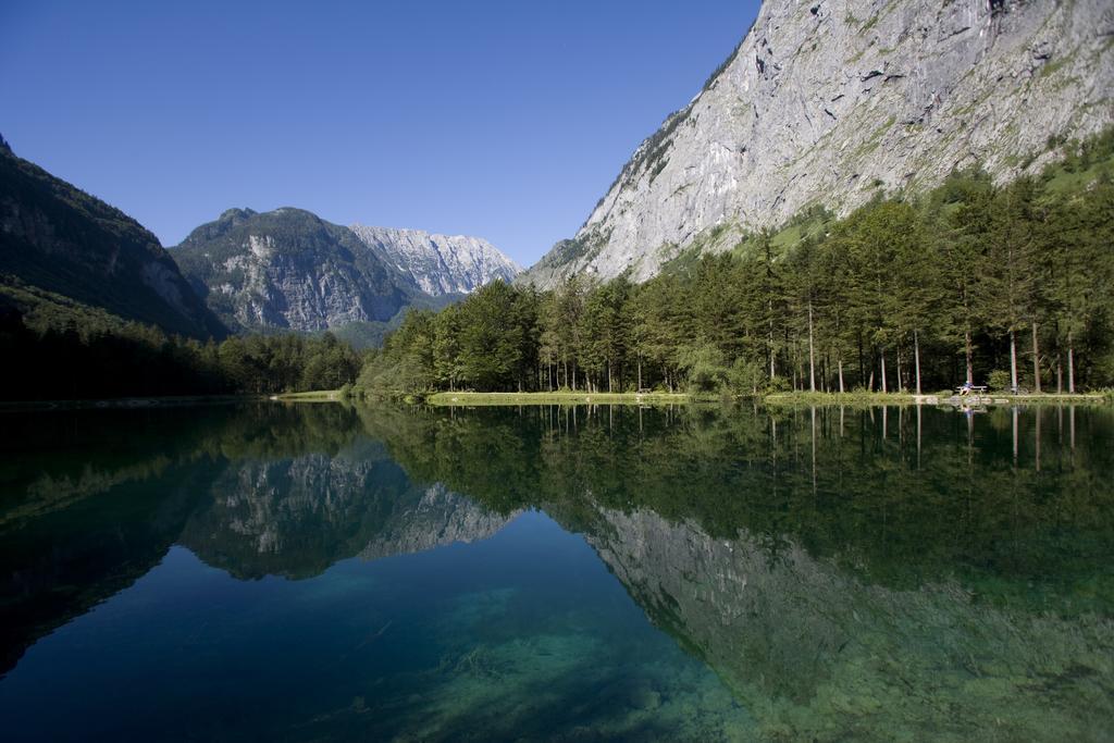 Forest Chalet, 15 Min To Salzburg Olt Town, And Most Beautiful Lakes, Secluded Location, 1,000 Sqm Garden, Mountainview, Panorama Sauna, Bath Whirlpool, Bbq&Bikes&Sunbeds For Free, Up To 10 P โกลลิง อันแดร์ ซัลซาค ภายนอก รูปภาพ